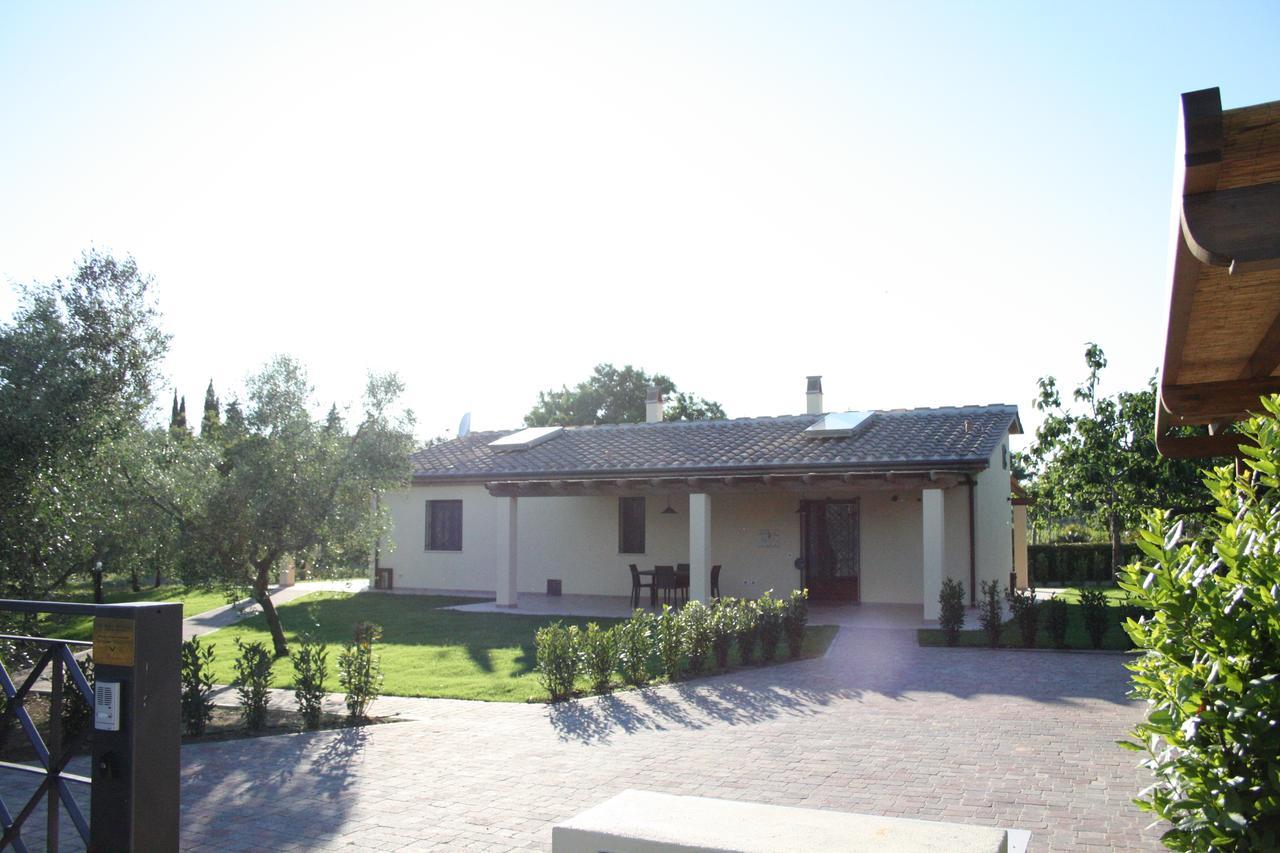Agriturismo Dallolivo Bolgheri Exterior photo