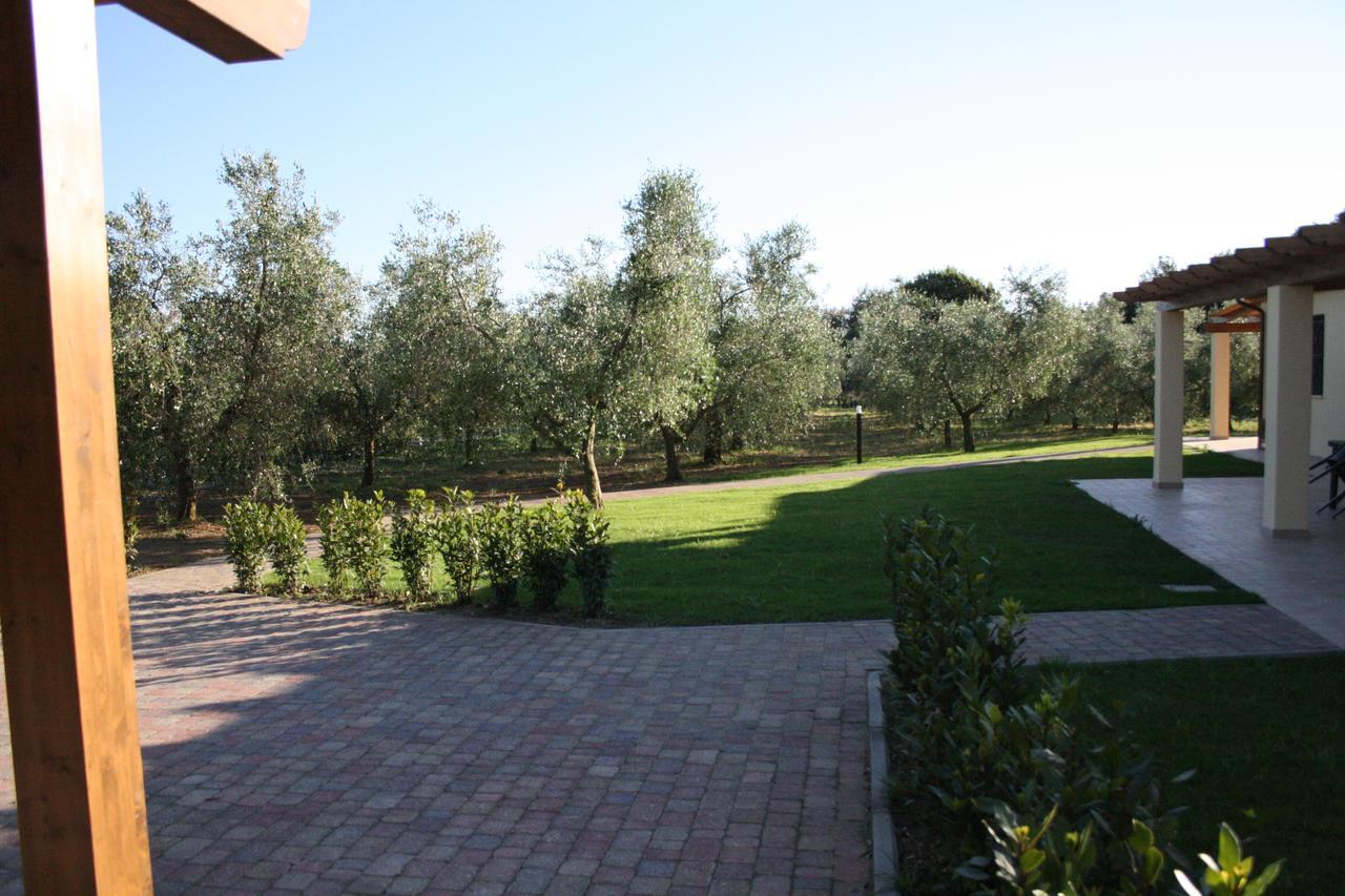 Agriturismo Dallolivo Bolgheri Exterior photo