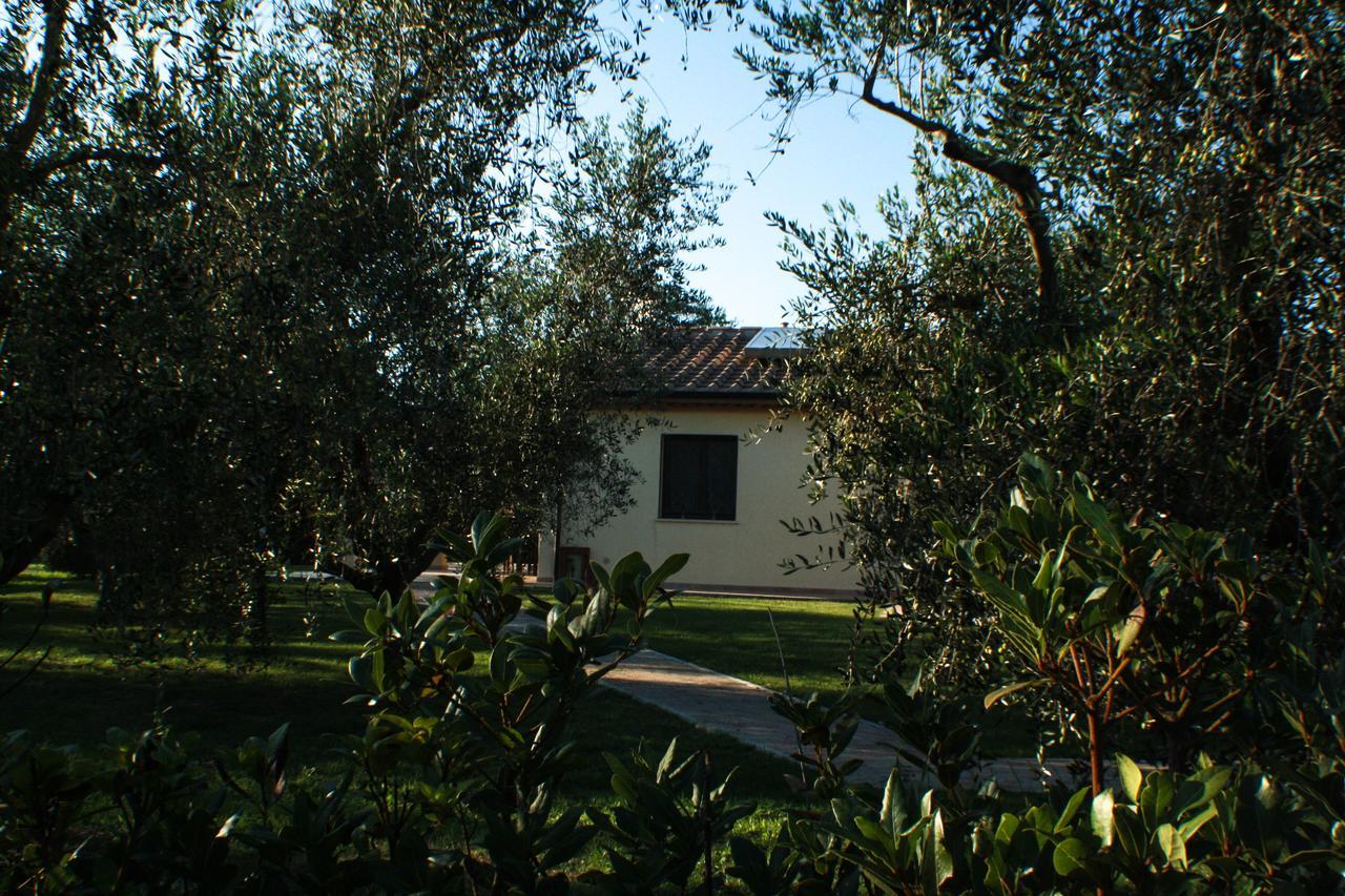 Agriturismo Dallolivo Bolgheri Exterior photo